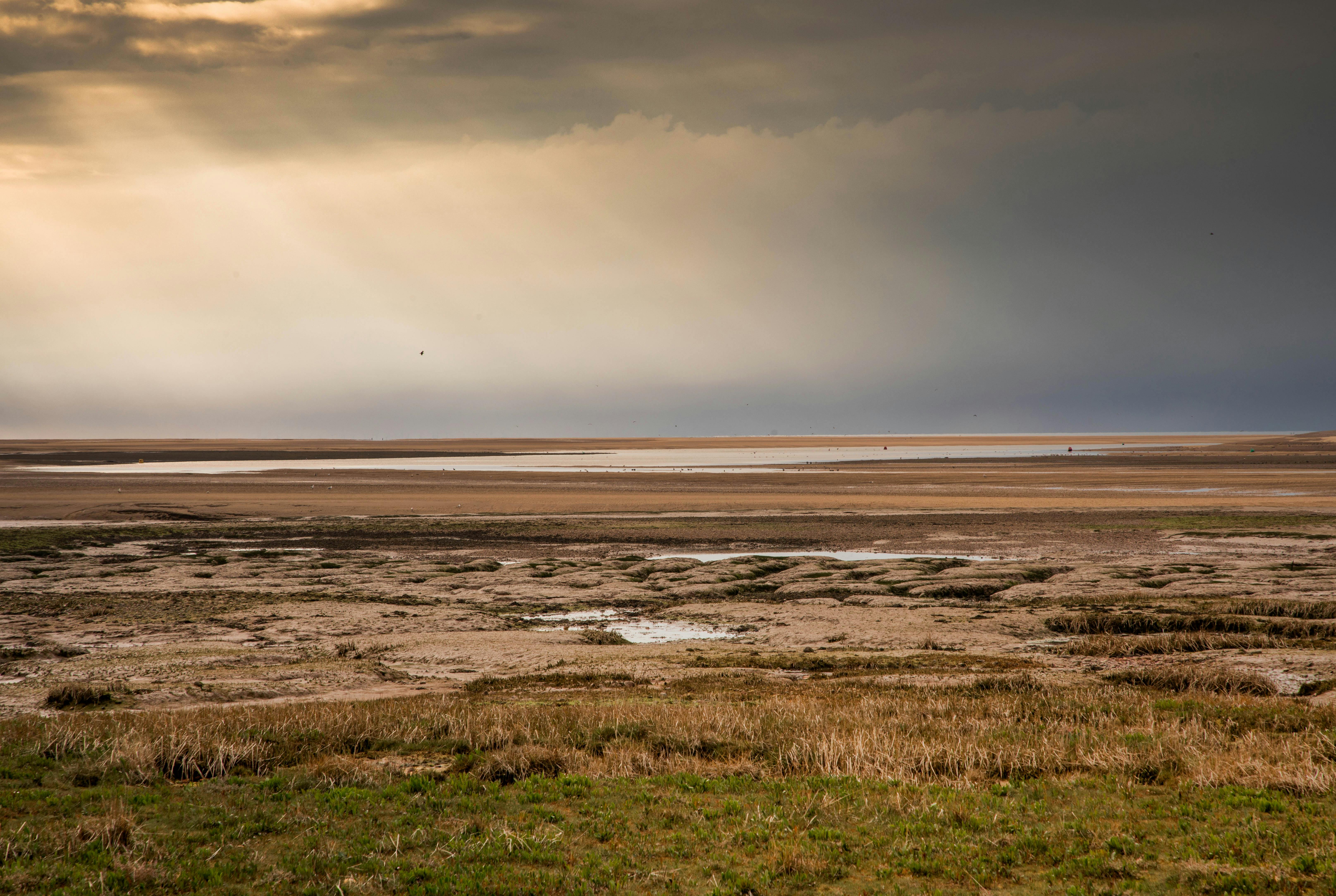 Norfolk countryside landscape